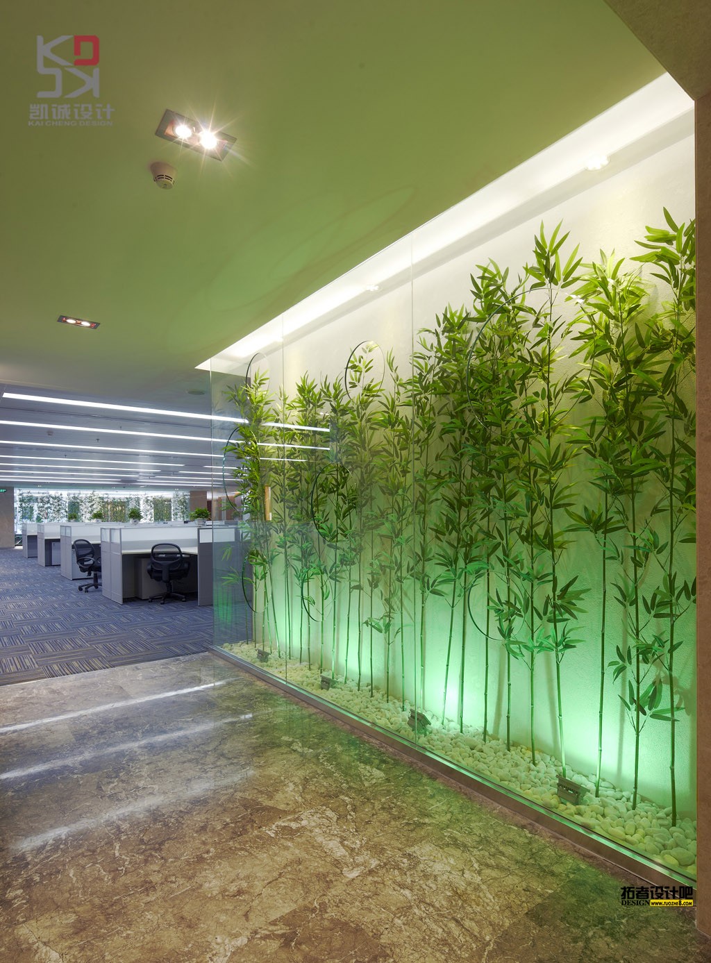 辦公室的植物擺法