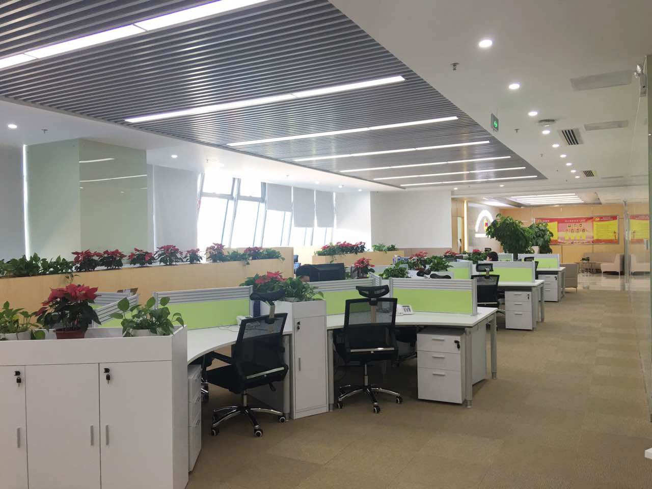 探討在深圳辦公室裝修中使用環(huán)保材料的重要性